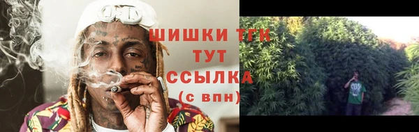 ПСИЛОЦИБИНОВЫЕ ГРИБЫ Зеленокумск