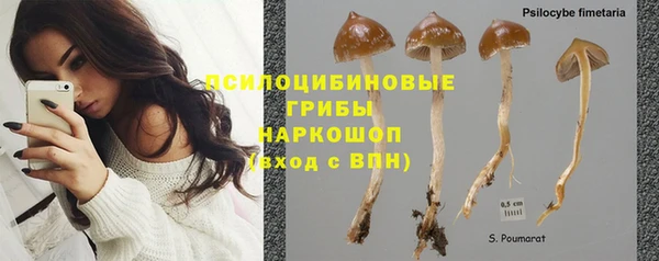 ПСИЛОЦИБИНОВЫЕ ГРИБЫ Зерноград