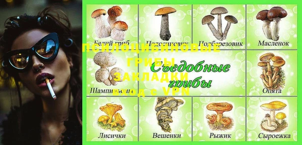 ПСИЛОЦИБИНОВЫЕ ГРИБЫ Зерноград