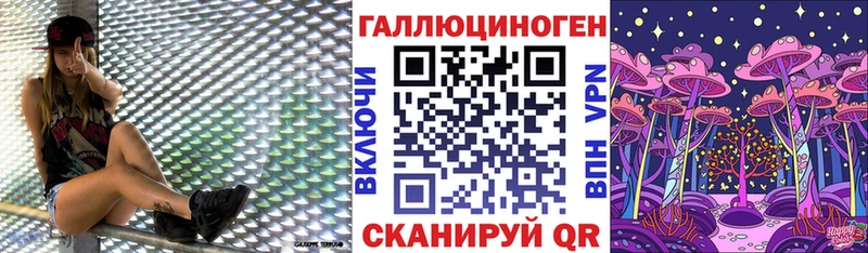 Псилоцибиновые грибы мицелий  Купить  Иланский 